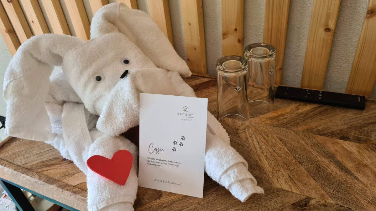 evergrün header mit hund