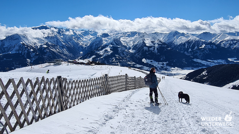 winterwanderweg kaprun schmittenhöhe mit hund