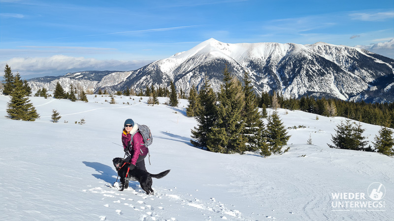 Schneeschuhwandern mit Hund auf der Rax