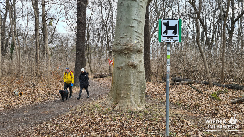 Hundefreilaufzone Wald Prater