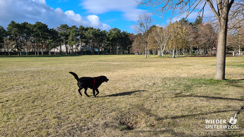 Hundezone Prater