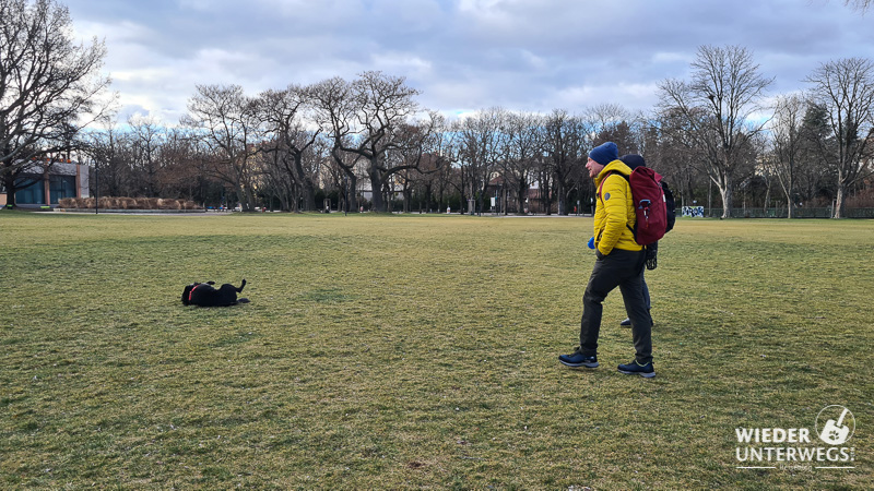 Hund im Wiener Prater