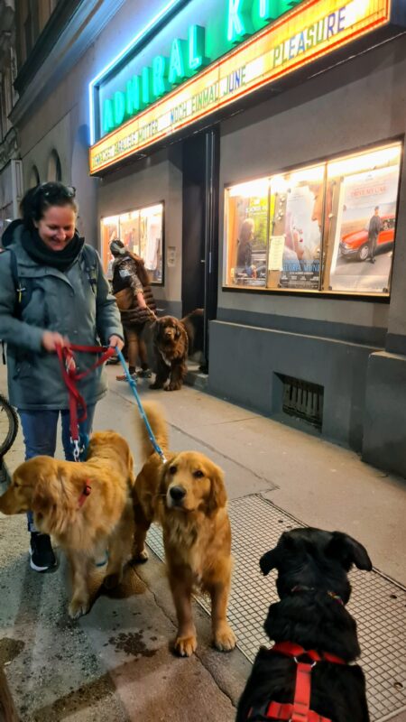 kino eingang admiral mit hunden