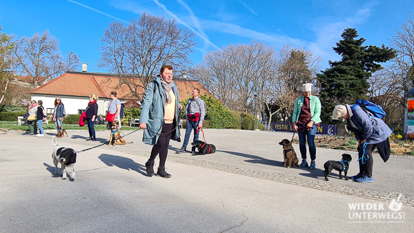 Dog walk baden übung