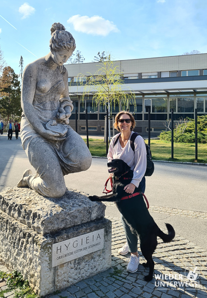 Hygiea baden mit hund