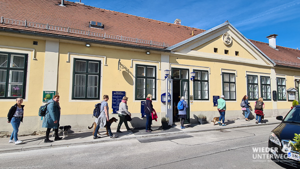city dog walk baden marschiert mit hunden