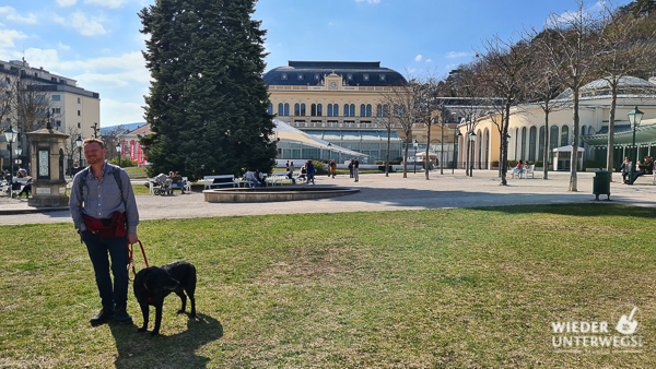 casino baden city dog walk