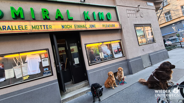 Kino mit hund wien admiral hunde auf der straße vor hotel