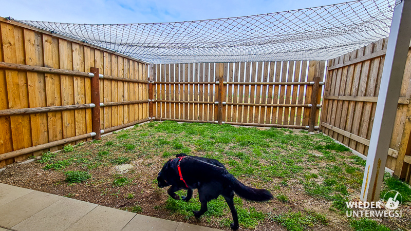 Auslauf Hundepension Zimmer Pro Village