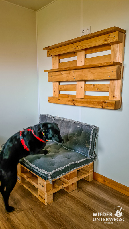 betten hundezimmer