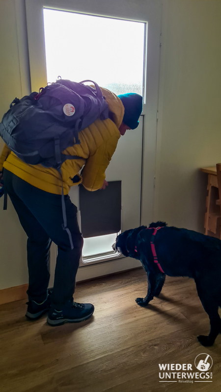 Hundezimmer mit Klappe zum Auslauf