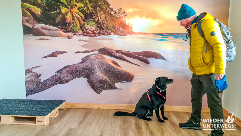 Hundezimmer Pro Village