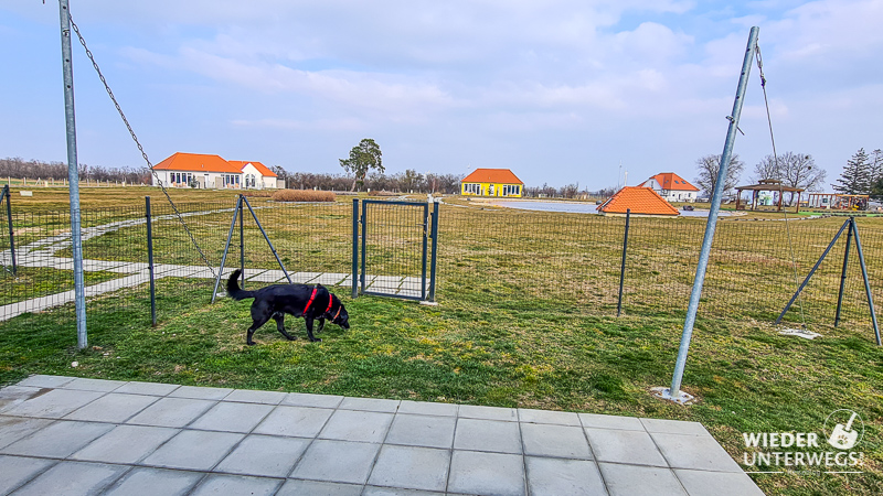 hundeauslauf pro village