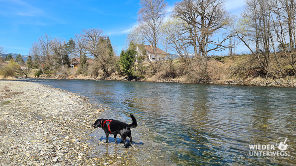 wandern entlang der Mur Camping