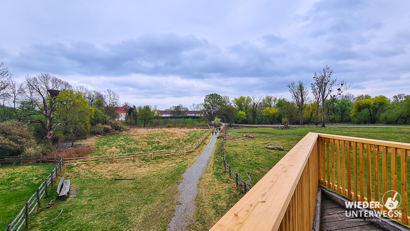 aussichtplattform auenreservat marchegg