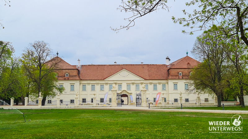 ansicht schloss marchegg