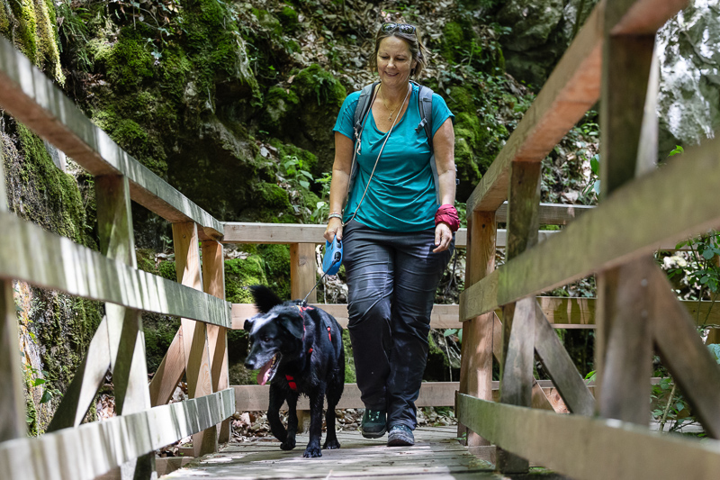 rundwanderung johannesbachklamm mit hund, foto: kevin Zumbo