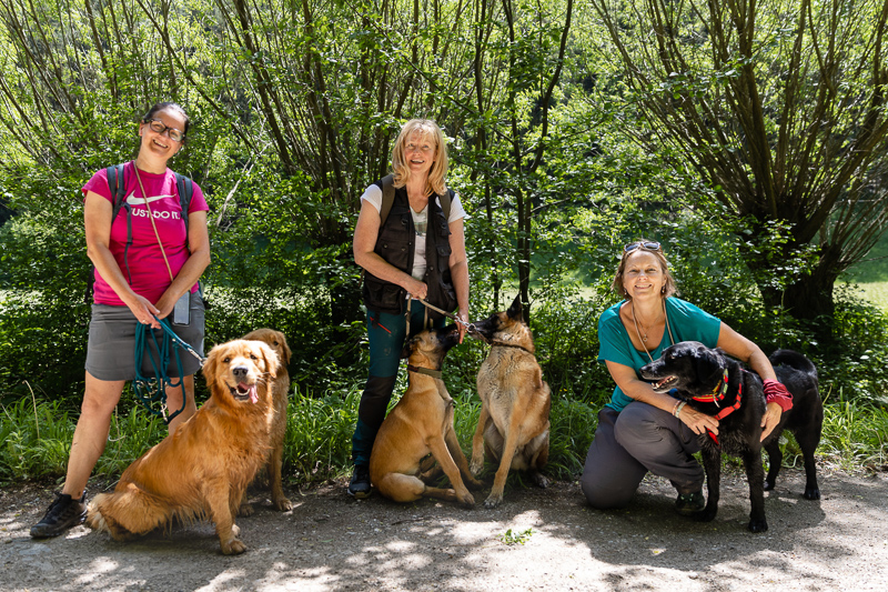 urlaub mit hund wandern mit hund reisebüro und hundetrainiern mit wiederunterwegs bloggerin im team