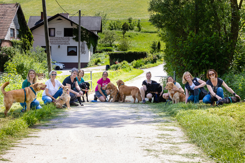 Hundegruppe beim Wandern durch die Johannesbachklamm, Foto: Kevin Zumbo