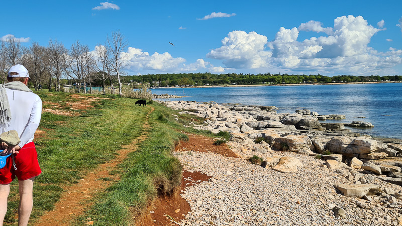 Entlang des Hundestrandes am meer