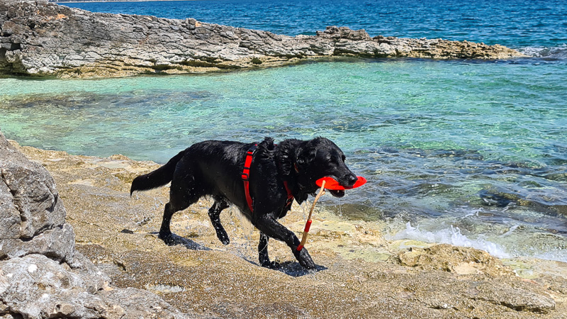 camipngplätze kroatien hundestrand