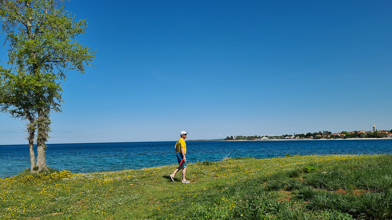 dog beach umag