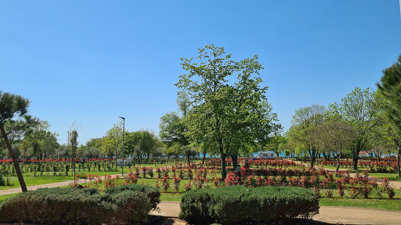 stellplätze camping park umag mit pflanzen im frühling