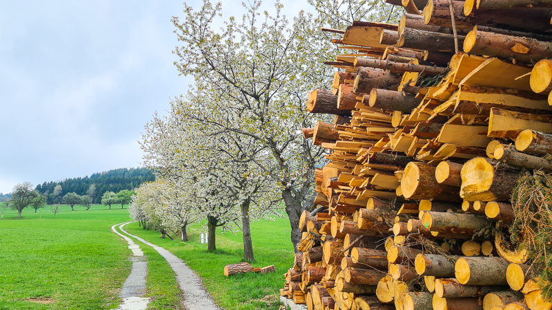 Frühling Oststeiermark Hirschbirn allee pöllau