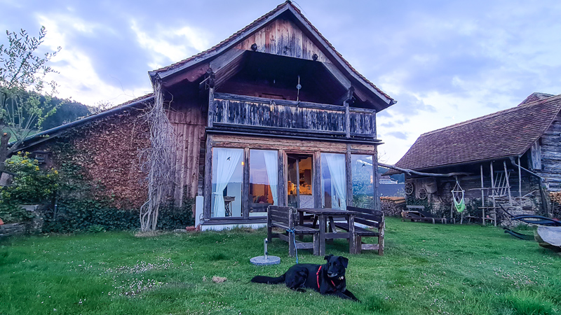 Pöllau Ferienhaus mit Hund Oststeiermark