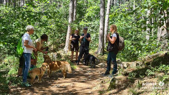 wanderung johannesbachklamm mit guide