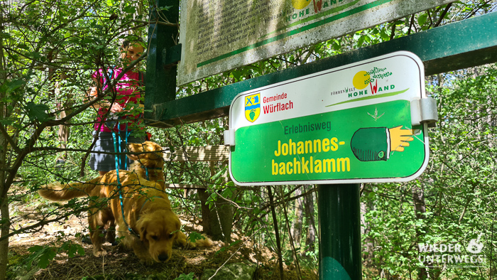 Erlebnisweg tafel johannesbachklamm