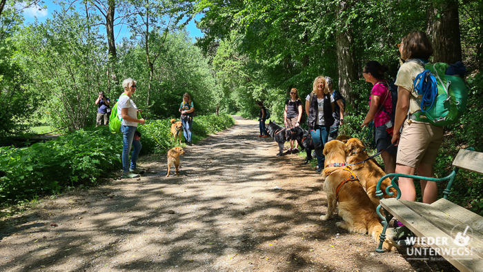 Hundetrainerin Johanna vela on tour in der johannesbachklamm