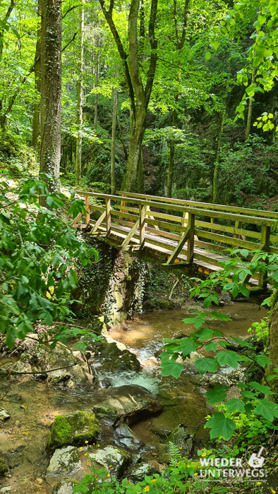Brücke Johannesbachklamm
