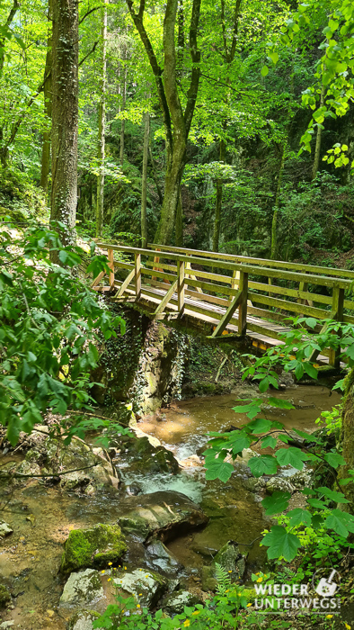 Brücke Johannesbachklamm