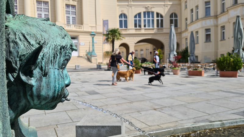 Mit hUnden in baden bei wien