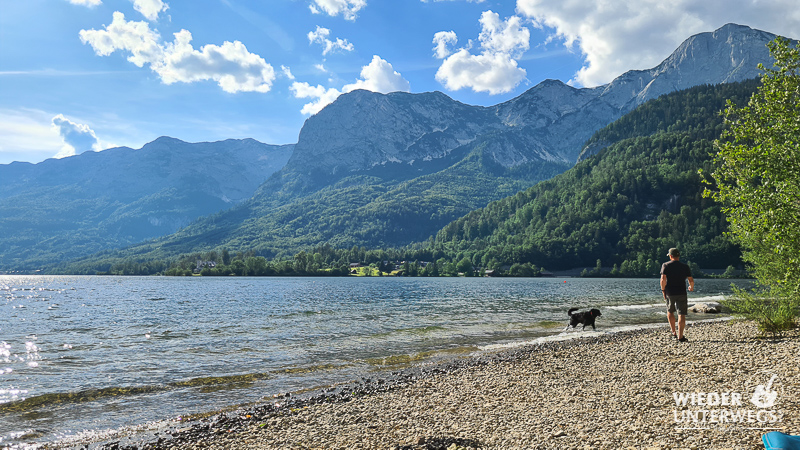 mit hund am grundlsee seezugang beim wald