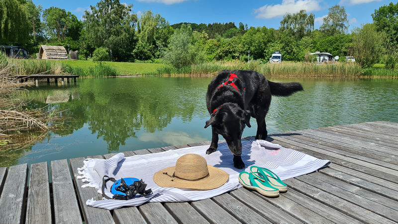 pielachtal camping badesee mit hund