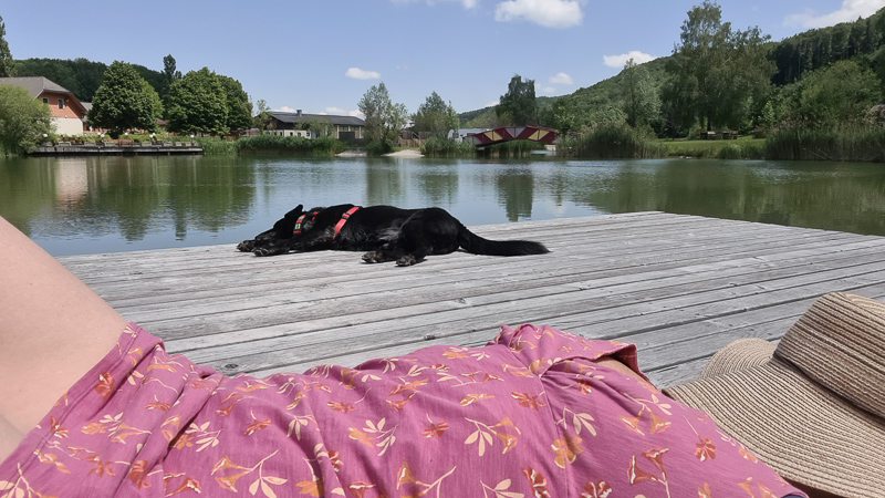 hunde pielachtal camping mostviertel