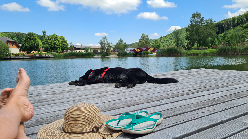 Camping mit Hund Pielachtal