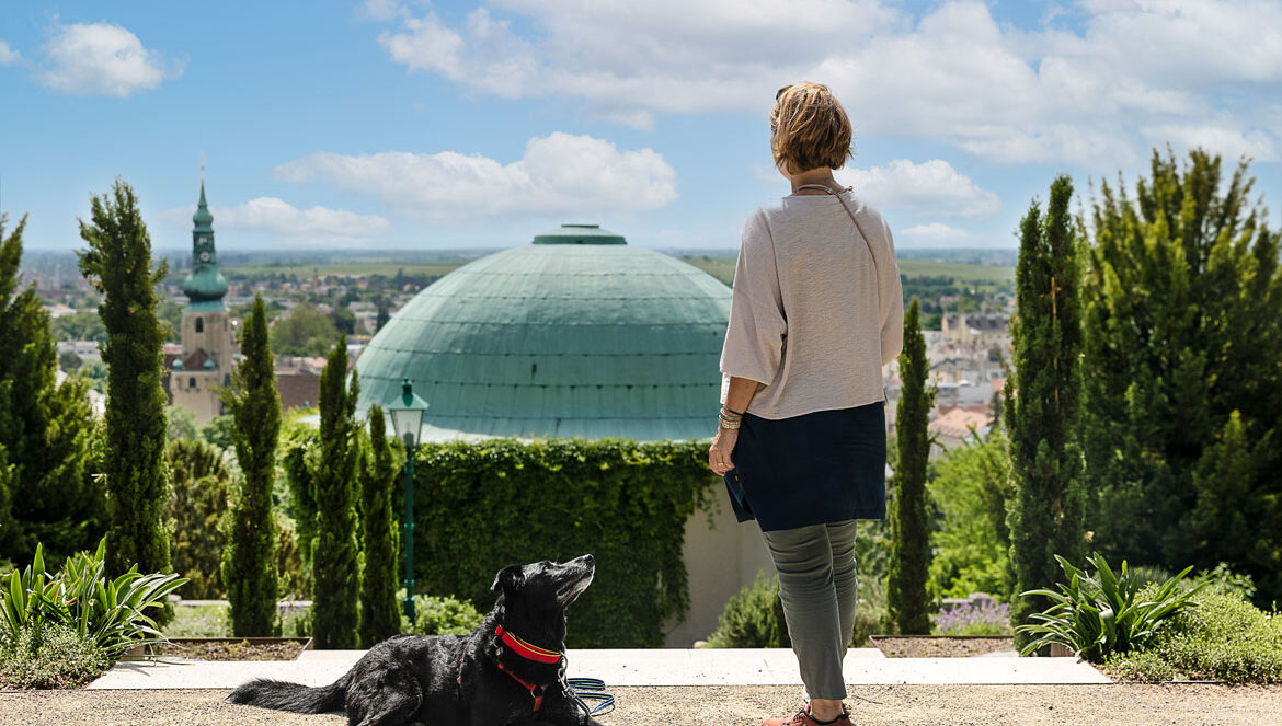 blick auf baden bei wien mit hund