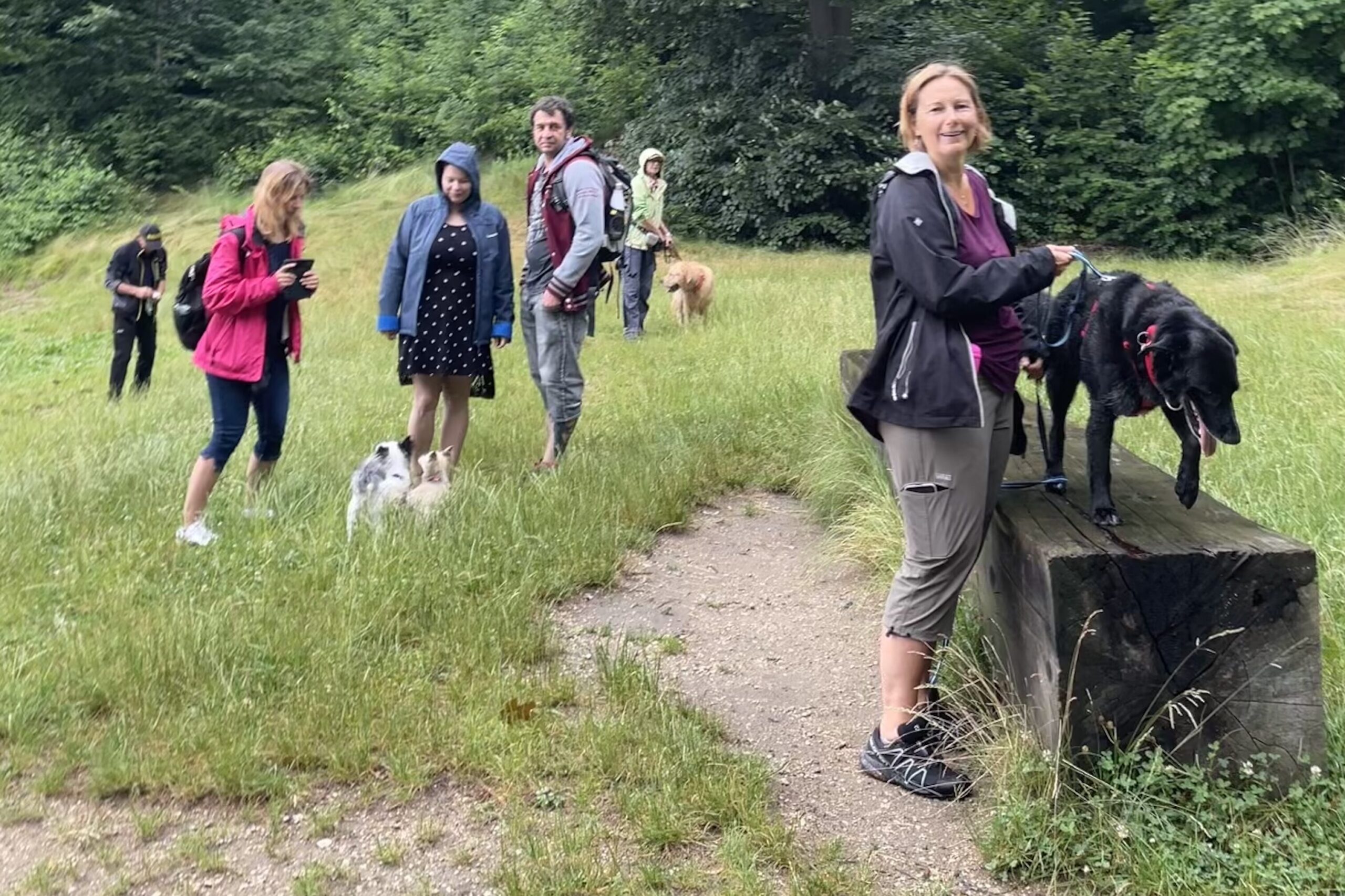 spaziergang mit hunden lichtenfels