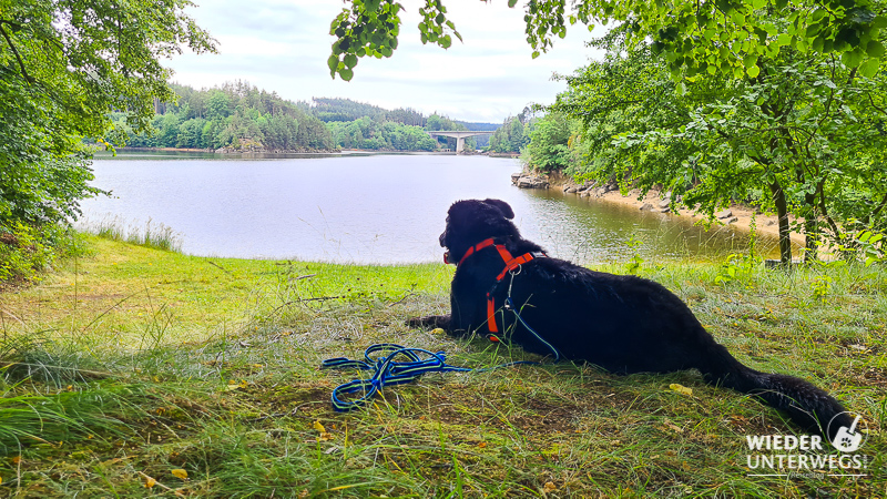 camping lichtenfels ottenstein hundebaden