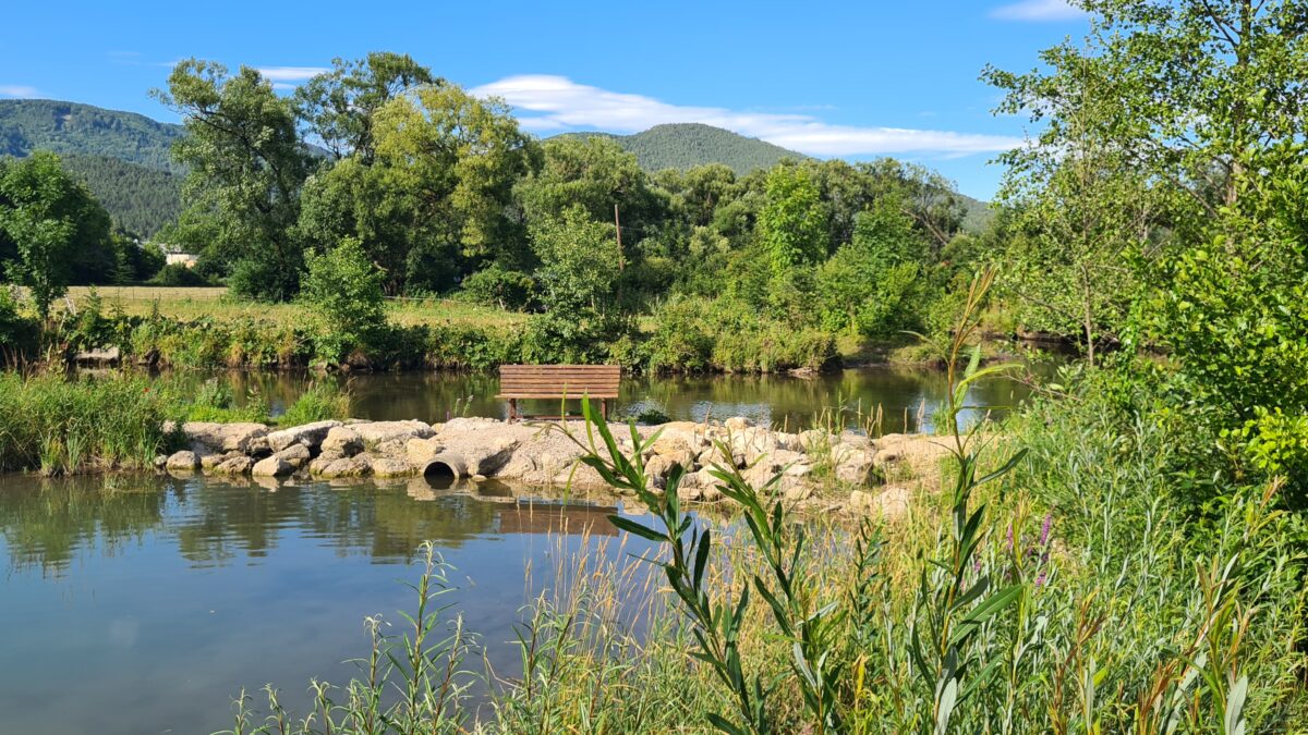 naturteich camping kohlhofmühl
