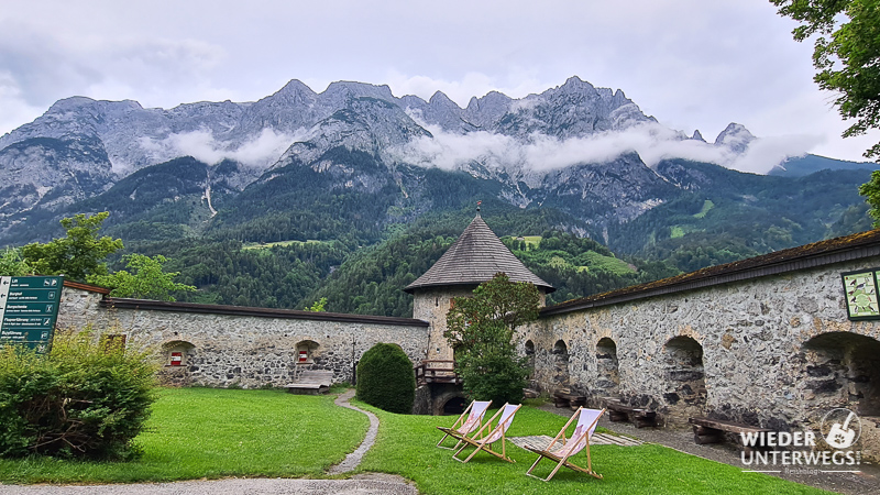 greifvogel hohenwerfen