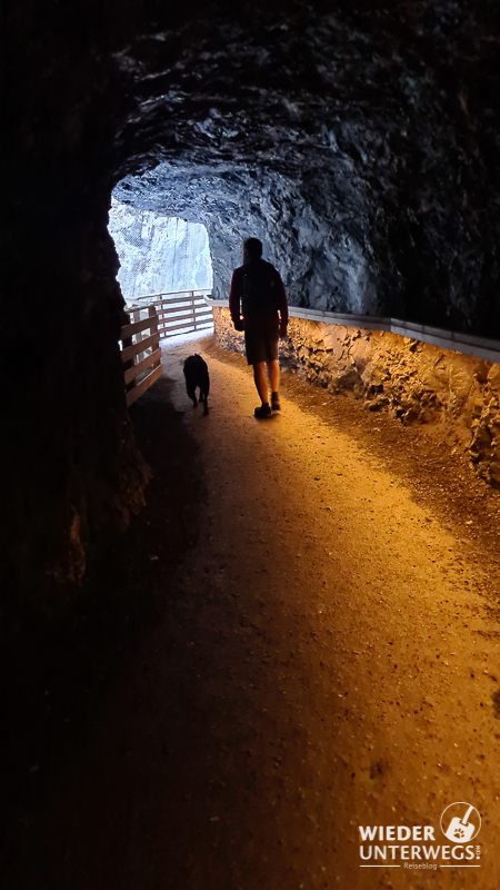 tunnel mit hund liechtensteinklamm