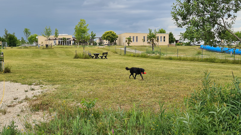 Hundezone Sonnenland Camping Lutzmannsburg