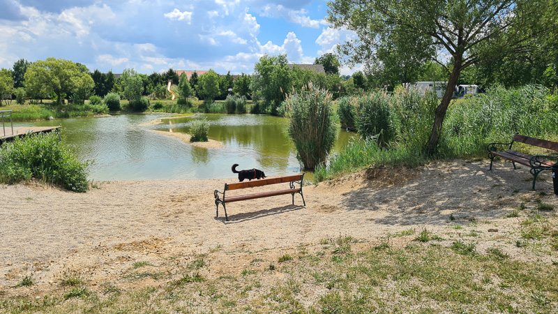 Badeteich Lutzmannsburg Camping