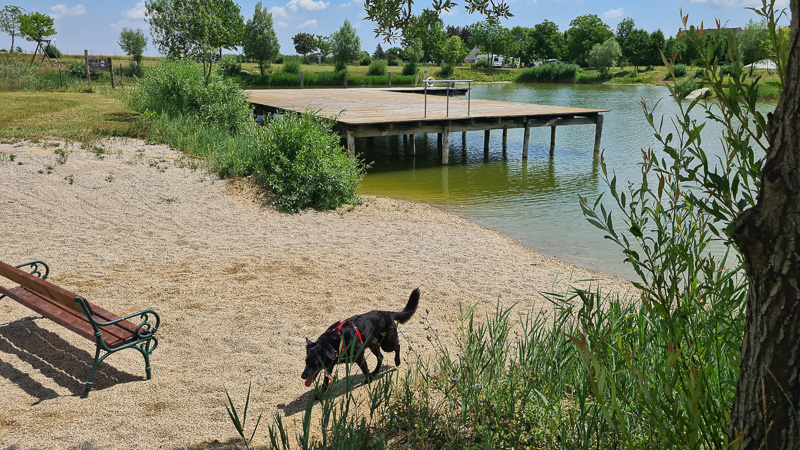 Hundestrand Sonnenland Camping Lutzmannsburg
