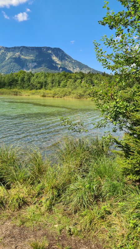 grünzone am offensee