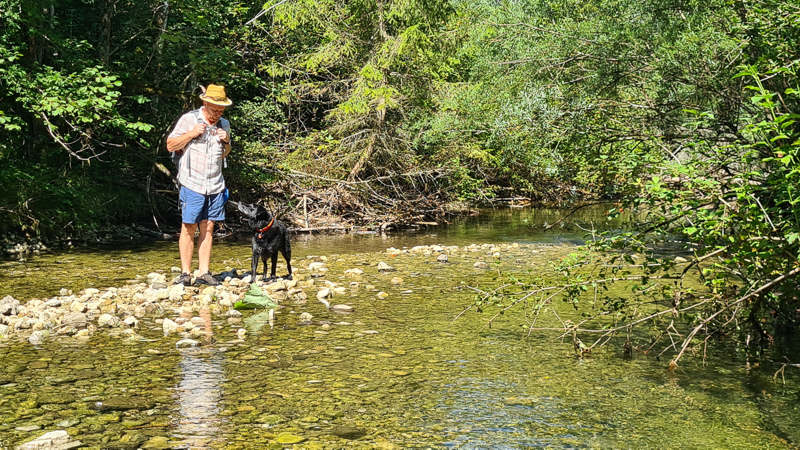 seebachtal baden mit hund beim lnuzer see